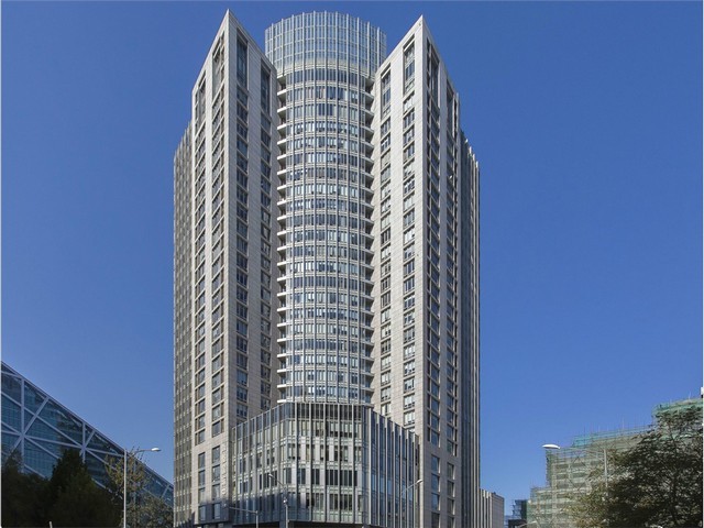 抗病玉米种子公司